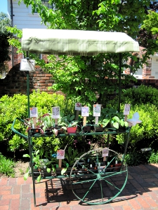 plant-cart plant-cart